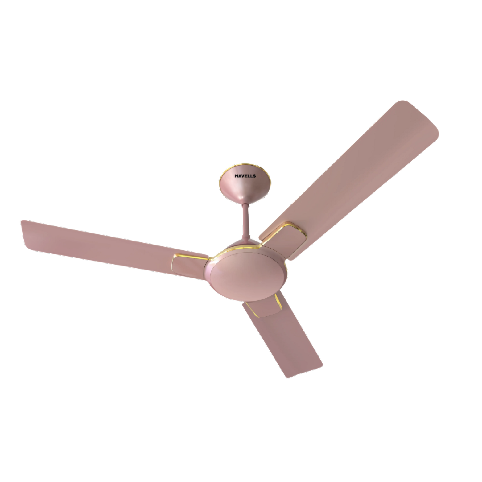 Decorative Fan